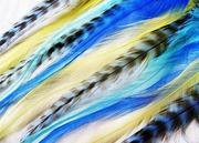 Top Quality Grizzly Rooster Feather Offer