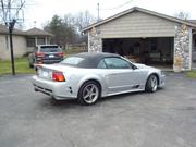 Ford 2001 Ford Mustang S281 SC Super Charged